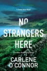 No Strangers Here : A Riveting Irish Thriller - eBook