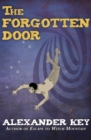The Forgotten Door - eBook