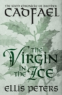 The Virgin in the Ice - eBook