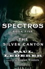 The Silver Canyon - eBook