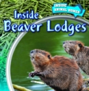 Inside Beaver Lodges - eBook