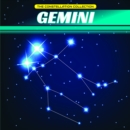 Gemini - eBook