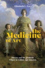 The Medicine of Art : Disease and the Aesthetic Object in Gilded Age America - eBook