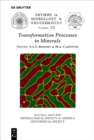 Transformation Processes in Minerals - eBook