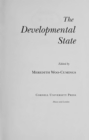 The Developmental State - eBook