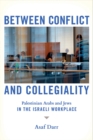 Between Conflict and Collegiality : Palestinian Arabs and Jews in the Israeli Workplace - eBook