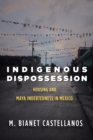 Indigenous Dispossession : Housing and Maya Indebtedness in Mexico - Book