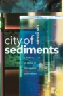 City of Sediments : A History of Seoul in the Age of Colonialism - Book