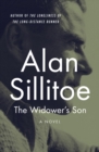 The Widower's Son : A Novel - eBook