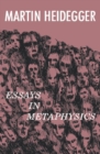 Essays in Metaphysics : Identity and Difference - eBook