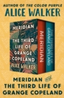 Meridian and The Third Life of Grange Copeland - eBook