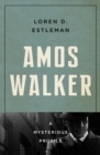 Amos Walker : A Mysterious Profile - eBook