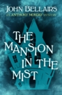 The Mansion in the Mist - eBook