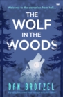 The Wolf in the Woods : A gripping dark comedy where nothing is quite as it seems - eBook