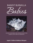 Bandit Burmilla Babies : Intimate Conversations with a Family of Cats on Love, Pregancy, Birth, Death and Separation. - eBook