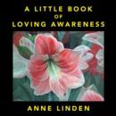 A Little Book of Loving Awareness - eBook