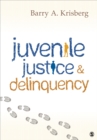Juvenile Justice and Delinquency - eBook