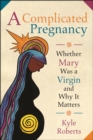 A Complicated Pregnancy : Whether Mary was a Virgin and Why It Matters - eBook