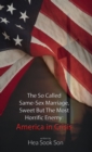 The So Called Same-Sex Marriage, Sweet but the Most Horrific Enemy: America in Crisis - eBook