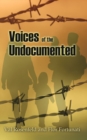 Voices of the Undocumented - eBook