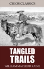 Tangled Trails: A Western Detective Story - eBook