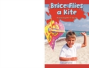 Brice Flies a Kite : Practicing the IE Sound - eBook