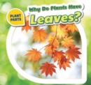 Why Do Plants Have Leaves? - eBook