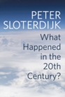 What Happened in the Twentieth Century? : Towards a Critique of Extremist Reason - eBook