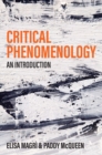 Critical Phenomenology : An Introduction - eBook