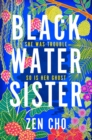 Black Water Sister - Book