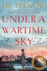 Under a Wartime Sky - eBook