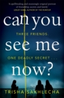 Can You See Me Now? - eBook