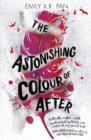 The Astonishing Colour of After - eBook
