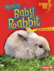 Meet a Baby Rabbit - eBook