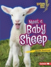 Meet a Baby Sheep - eBook