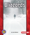 Blizzards - eBook