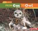 From Egg to Owl - eBook