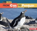 From Egg to Penguin - eBook