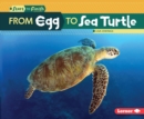 From Egg to Sea Turtle - eBook