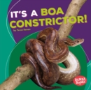 It's a Boa Constrictor! - eBook