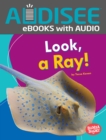 Look, a Ray! - eBook