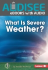 What Is Severe Weather? - eBook