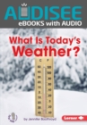 What Is Today's Weather? - eBook