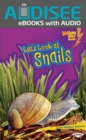 Let's Look at Snails - eBook
