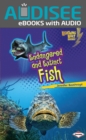 Endangered and Extinct Fish - eBook