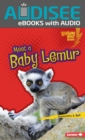 Meet a Baby Lemur - eBook