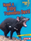 Meet a Baby Tasmanian Devil - eBook
