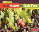 From Acorn to Oak Tree - eBook