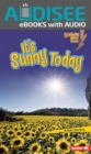 It's Sunny Today - eBook