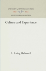 Culture and Experience - eBook